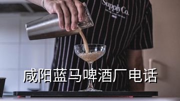 咸陽藍(lán)馬啤酒廠電話