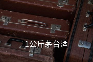 1公斤茅臺(tái)酒