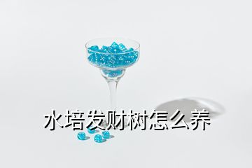 水培發(fā)財(cái)樹怎么養(yǎng)