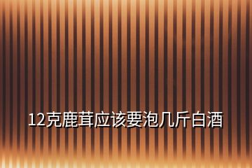 12克鹿茸應(yīng)該要泡幾斤白酒