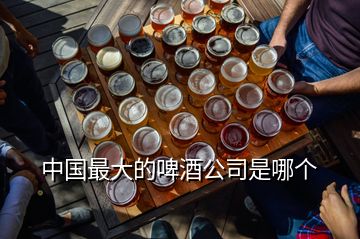 中國最大的啤酒公司是哪個(gè)