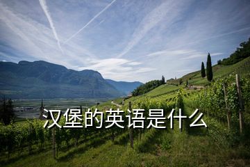 漢堡的英語(yǔ)是什么