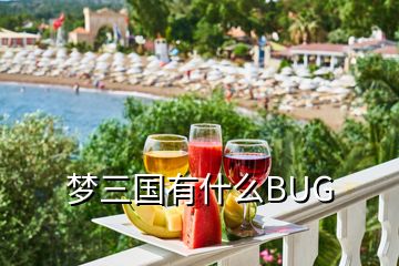 夢三國有什么BUG