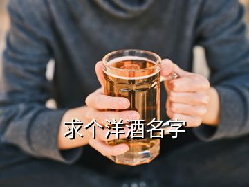 求個(gè)洋酒名字