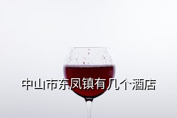 中山市東鳳鎮(zhèn)有幾個酒店