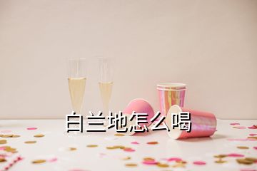 白蘭地怎么喝