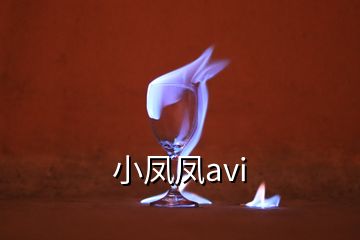 小鳳鳳avi