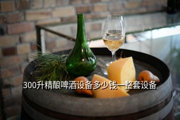 300升精釀啤酒設(shè)備多少錢(qián)一整套設(shè)備