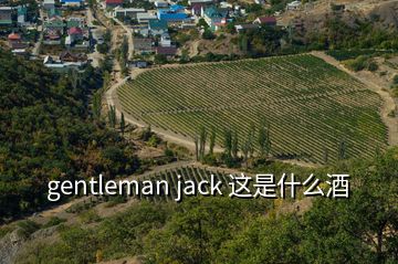 gentleman jack 這是什么酒