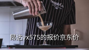 昂達vx575的報價京東價