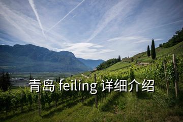 青島 feiling 詳細介紹