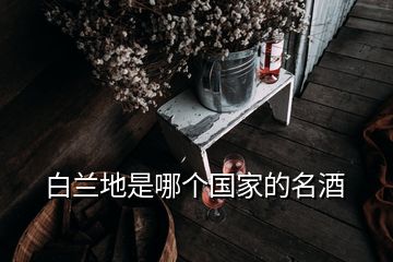 白蘭地是哪個(gè)國家的名酒