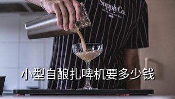 小型自釀扎啤機要多少錢