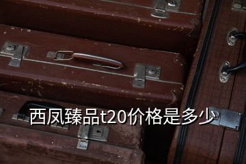 西鳳臻品t20價格是多少