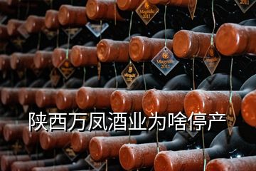 陜西萬鳳酒業(yè)為啥停產(chǎn)