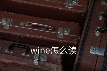 wine怎么讀