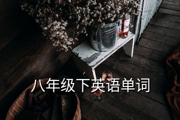 八年級下英語單詞