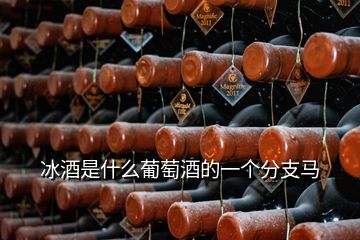 冰酒是什么葡萄酒的一個(gè)分支馬