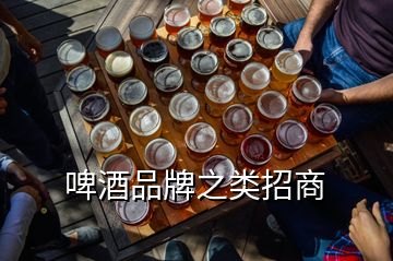 啤酒品牌之類招商