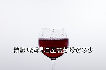 精釀啤酒啤酒屋需要投資多少