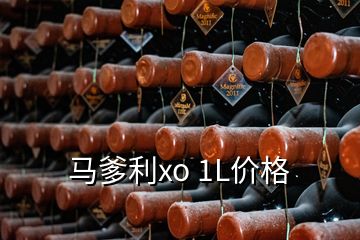 馬爹利xo 1L價格