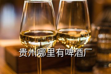 貴州哪里有啤酒廠