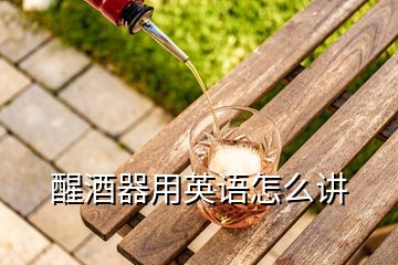 醒酒器用英語(yǔ)怎么講