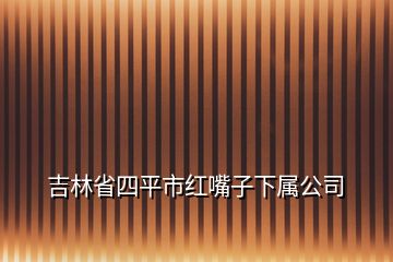 吉林省四平市紅嘴子下屬公司