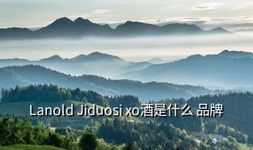 Lanold Jiduosi xo酒是什么 品牌