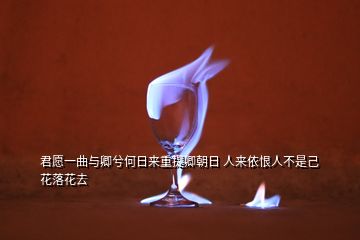 君愿一曲與卿兮何日來重提卿朝日 人來依恨人不是己花落花去