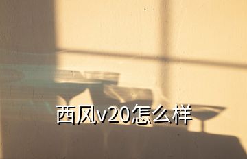 西風(fēng)v20怎么樣