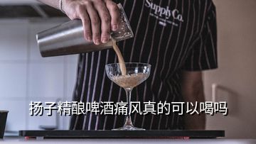 揚子精釀啤酒痛風真的可以喝嗎