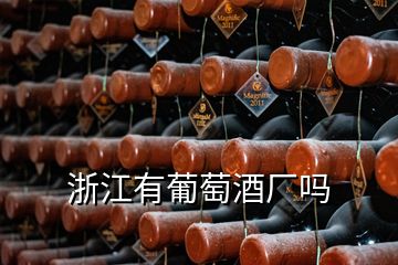 浙江有葡萄酒廠嗎