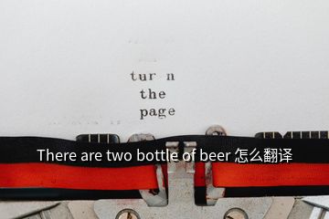 There are two bottle of beer 怎么翻譯