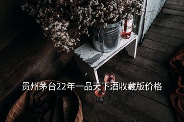 貴州茅臺(tái)22年一品天下酒收藏版價(jià)格