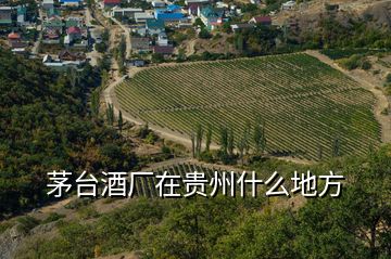 茅臺酒廠在貴州什么地方