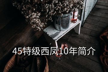 45特級西鳳10年簡介