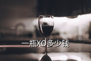 一瓶XO多少錢(qián)