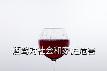 酒駕對社會和家庭危害