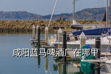 咸陽藍馬啤酒廠在哪里