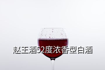 趙王酒52度濃香型白酒