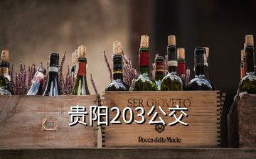 貴陽203公交