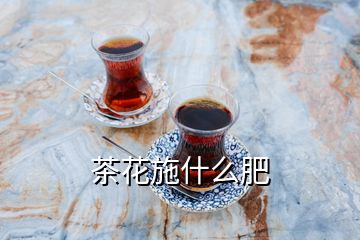 茶花施什么肥