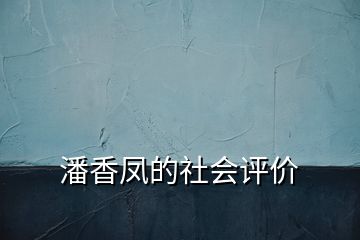 潘香鳳的社會(huì)評(píng)價(jià)