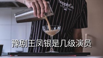 豫劇王鳳銀是幾級(jí)演員