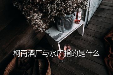 柯南酒廠與水廠指的是什么