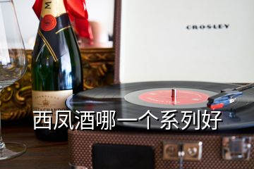 西鳳酒哪一個(gè)系列好