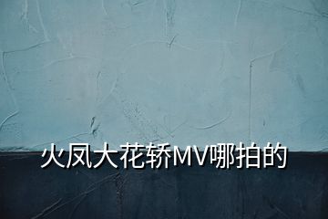 火鳳大花轎MV哪拍的