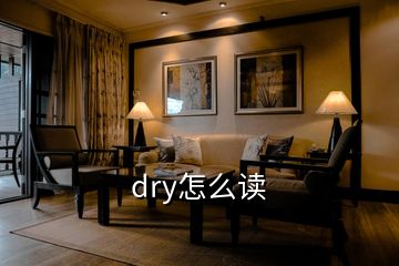 dry怎么讀