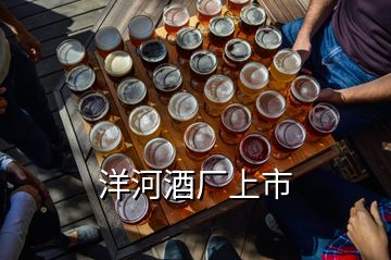 洋河酒廠上市